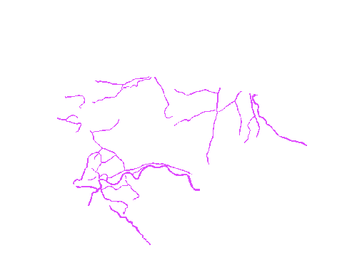 Sample annotation mask from Eyes Microcirculation