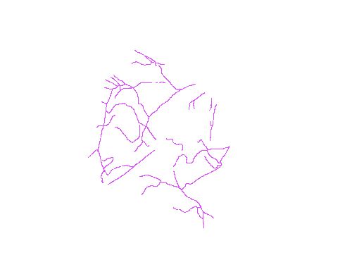 Sample annotation mask from Eyes Microcirculation