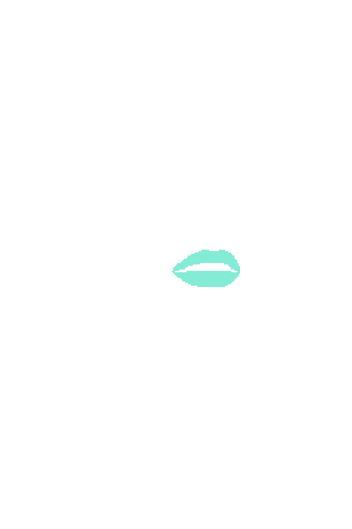 Sample annotation mask from Lips Segmentation