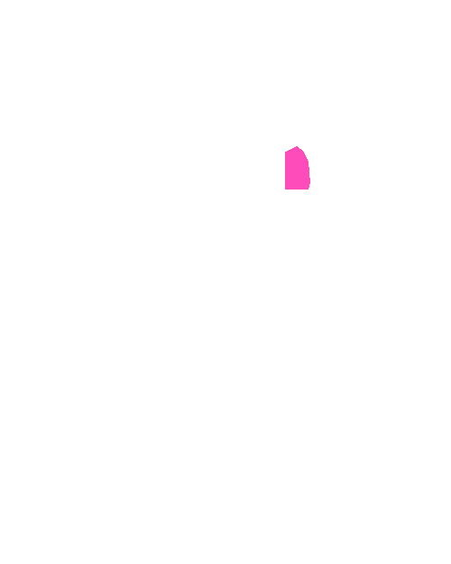 Sample annotation mask from Ear Detection