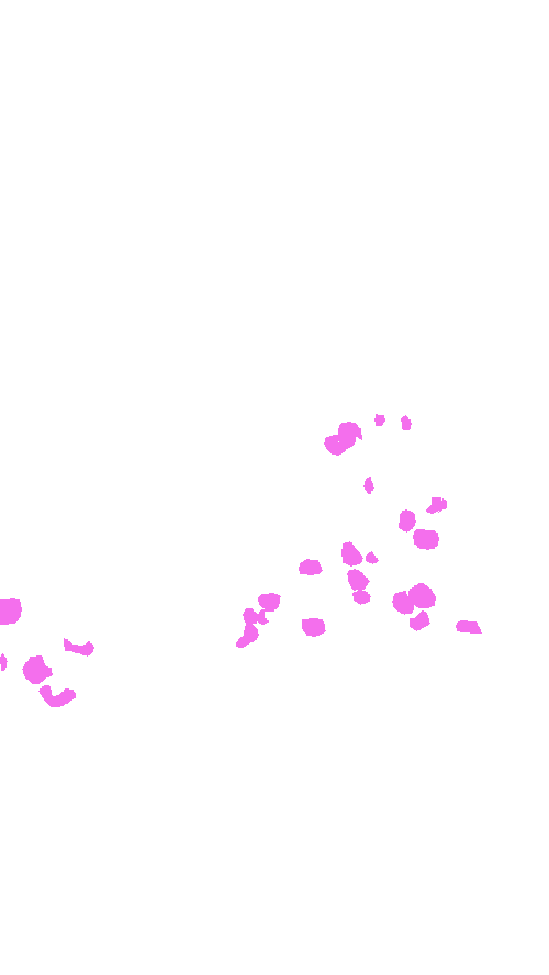 Sample annotation mask from MinneApple