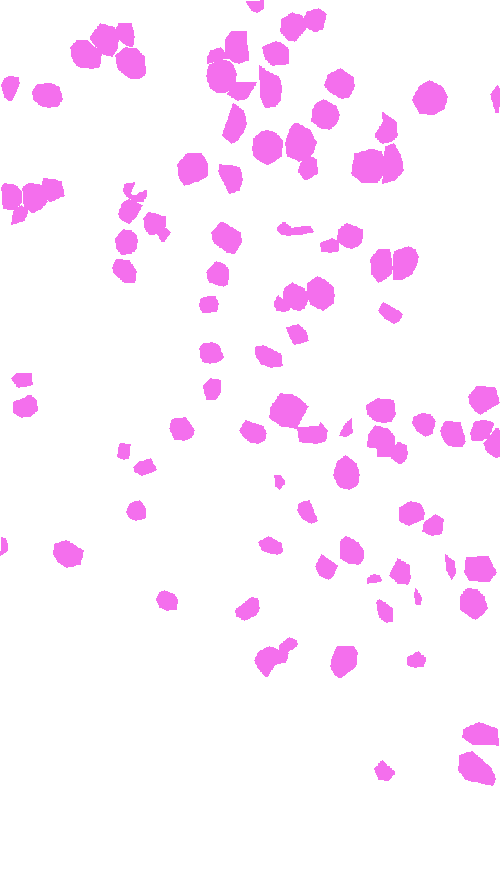 Sample annotation mask from MinneApple