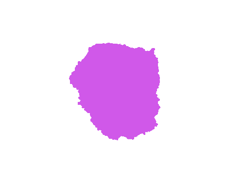 Sample annotation mask from ISIC 2017: Part 1 - Lesion Segmentation