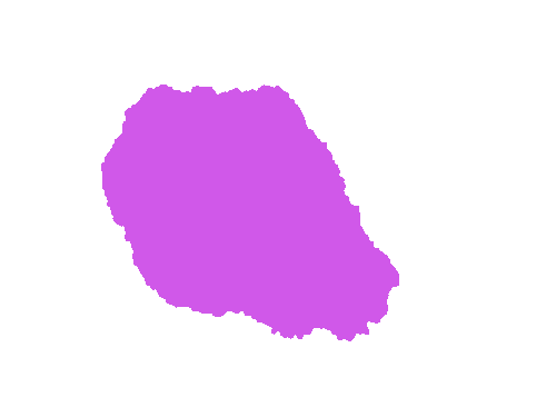 Sample annotation mask from ISIC 2017: Part 1 - Lesion Segmentation