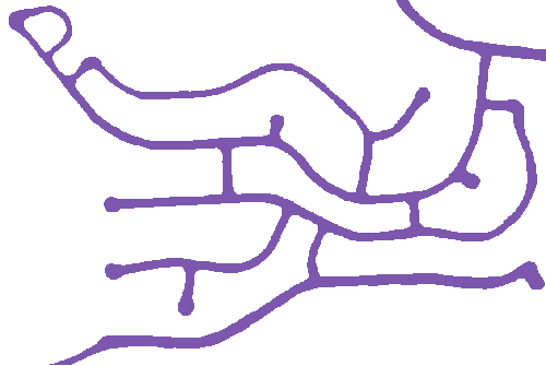 Sample annotation mask from Road Detection and Centerline Extraction