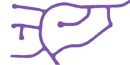 Sample annotation mask from Road Detection and Centerline Extraction