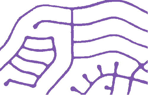 Sample annotation mask from Road Detection and Centerline Extraction