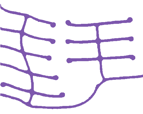 Sample annotation mask from Road Detection and Centerline Extraction