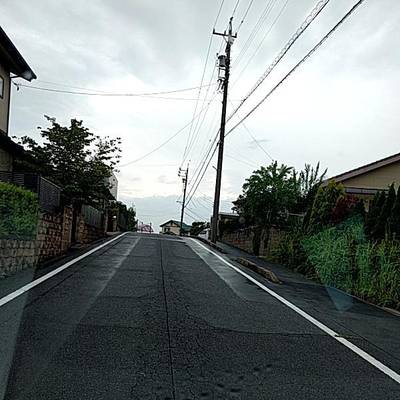 Sample image from RDD2022