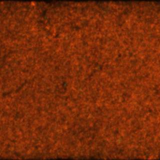 Sample image from Heat Sink Surface Defect