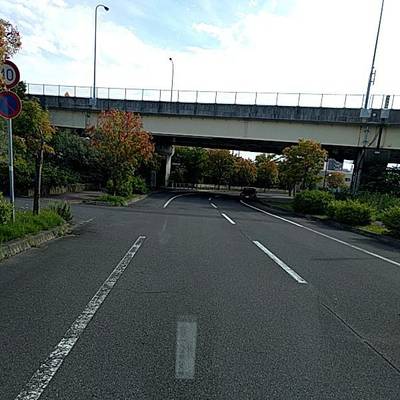 Sample image from RDD2022