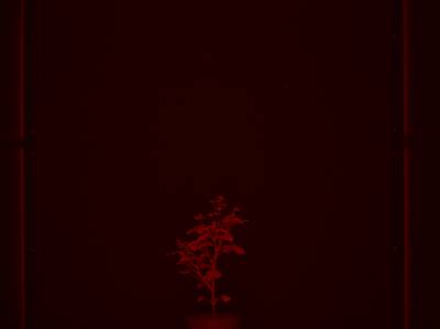 Sample image from CosegPP