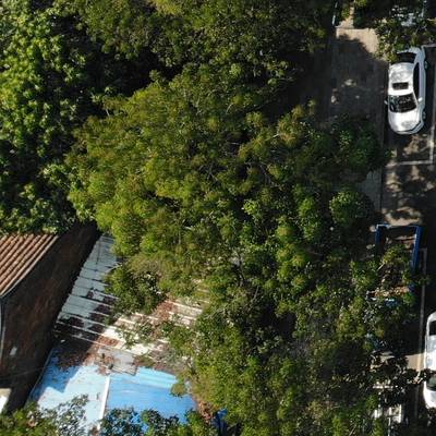 Sample image from VSAI