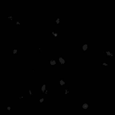Sample image from Annotated Quantitative Phase Microscopy Cell