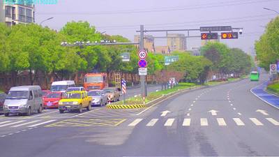 Sample image from S2TLD