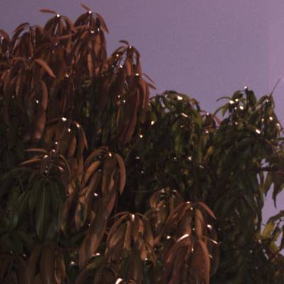 Sample image from ACFR