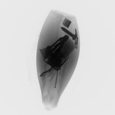 Sample image from GDXray+