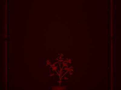 Sample image from CosegPP
