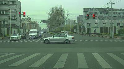 Sample image from S2TLD