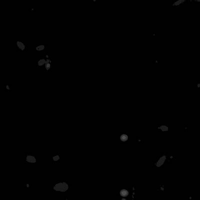 Sample image from Annotated Quantitative Phase Microscopy Cell