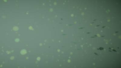 Sample image from BrackishMOT