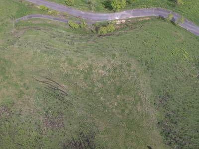 Sample image from Cattle Detection and Counting in UAV Images