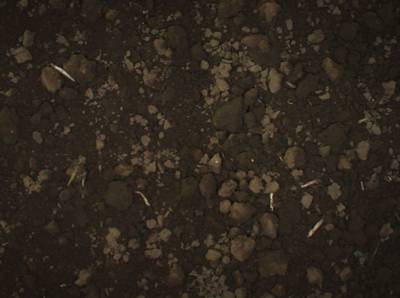 Sample image from Supervisely HRDA Plants Demo
