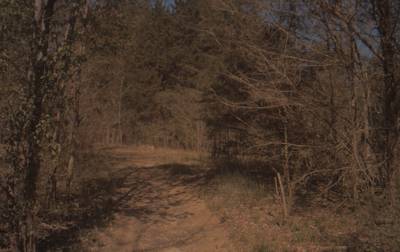 Sample image from CaSSeD: Real World Data