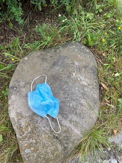 Sample image from MaskNet