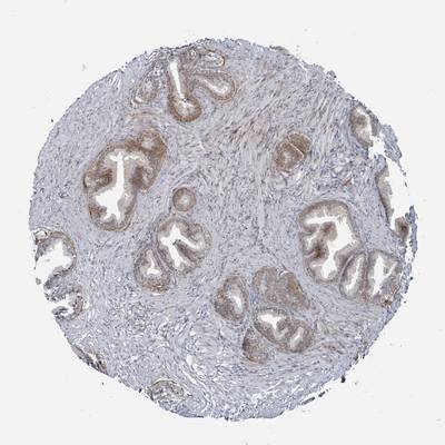 Sample image from Hacking the Human Body 2022