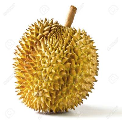 Sample image from Fruit Object Detection