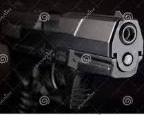 Sample image from OD-WeaponDetection: Sohas Classification