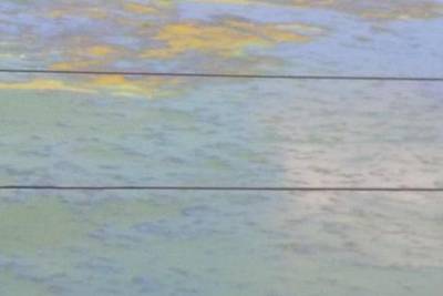 Sample image from PLD-UAV