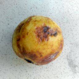 Sample image from FruitNet and FruitBox Dataset