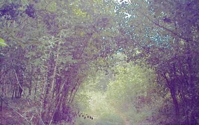 Sample image from CaT