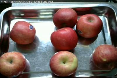 Sample image from Fruit Recognition