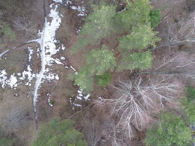 Sample image from LADD: Lacmus Drone Dataset