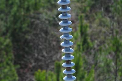 Sample image from Insulator-Defect Detection
