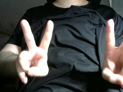 Sample image from Gesture v1.0