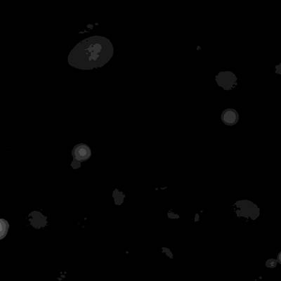 Sample image from Annotated Quantitative Phase Microscopy Cell