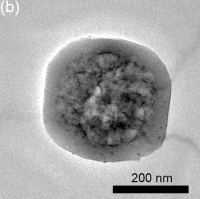 Sample image from EMPS