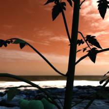 Sample image from Synthetic Plants