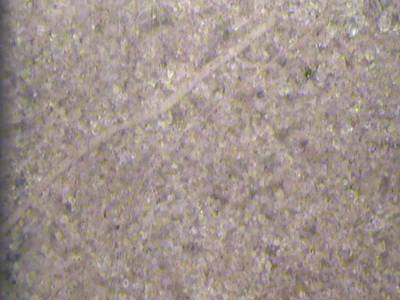 Sample image from PRMI