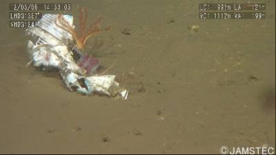 Sample image from Trash-ICRA19