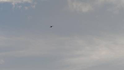 Sample image from Accurate Drone Shapes