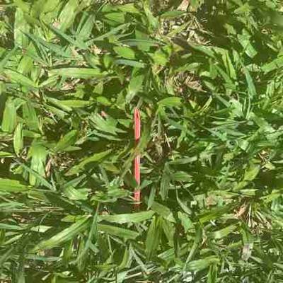 Sample image from AquaTrash