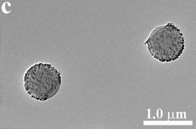 Sample image from EMPS