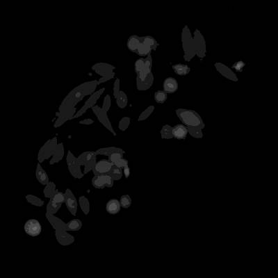 Sample image from Annotated Quantitative Phase Microscopy Cell