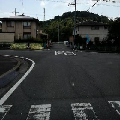Sample image from RDD2022