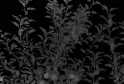 Sample image from KFuji RGB-DS